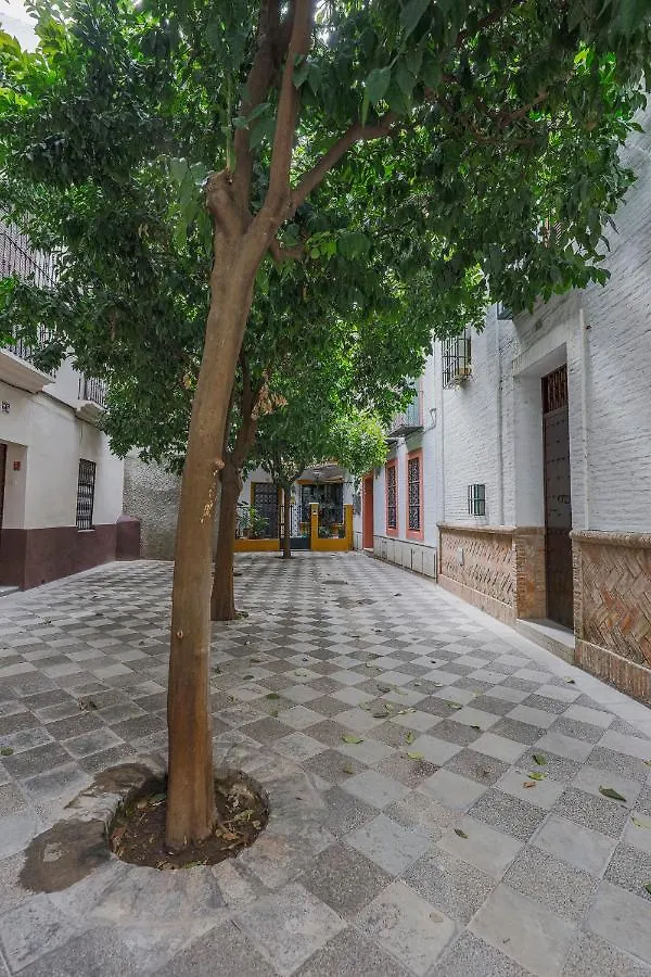 Historic Apartment In Santa Cruz Seville