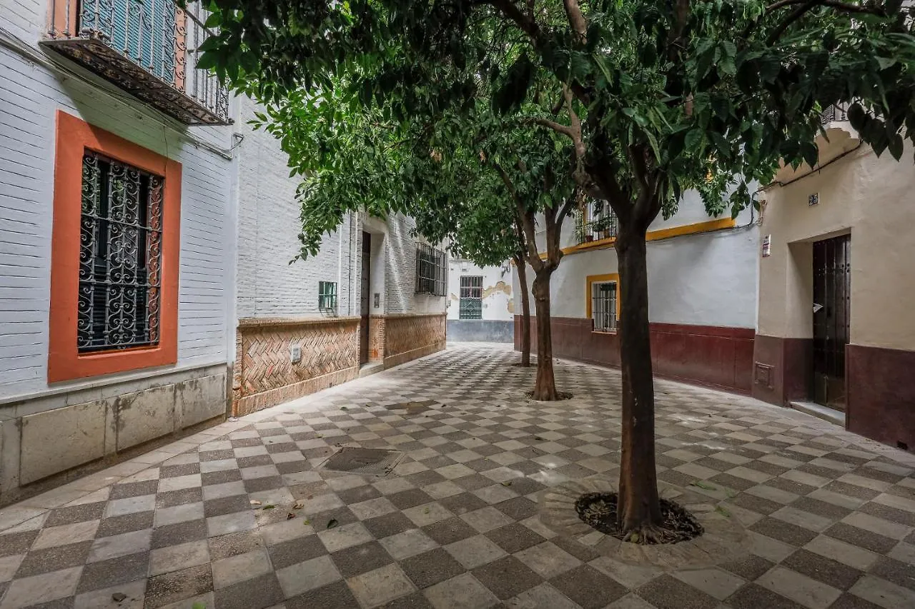 Historic Apartment In Santa Cruz Seville
